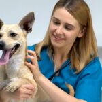 Your Pet's Health Matters