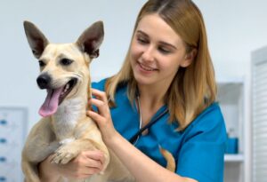 Your Pet's Health Matters